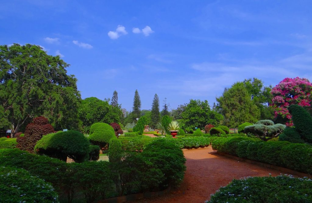 Bangalore Botanical Garden