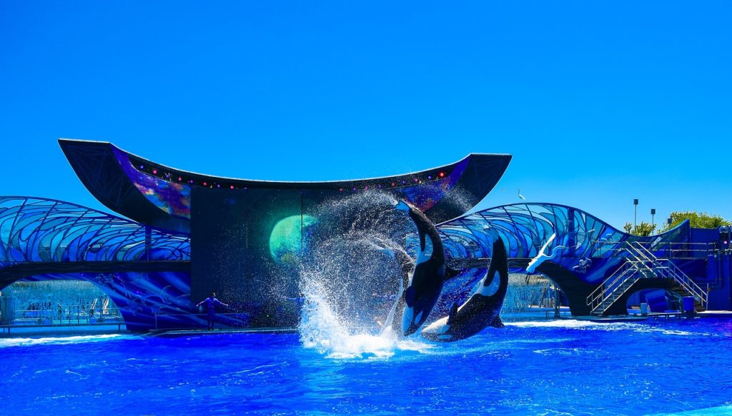 Sea World