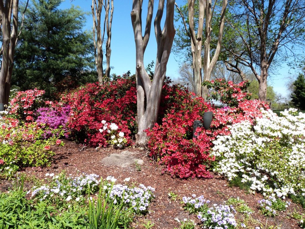 Dallas Arboretum and Botanical Gardens