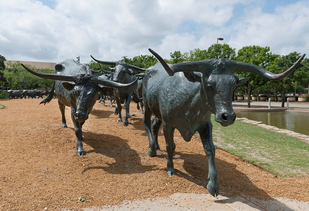 Dallas Cattle Drive Sculptures