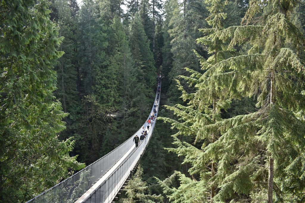 Lynn Canyon 