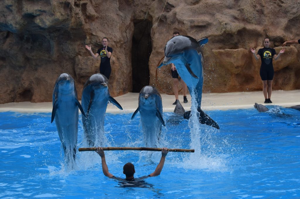 Loro Parque