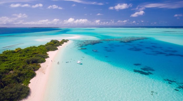 COVID Safe Destination Tours: Best things to do in the Maldives for honeymooners