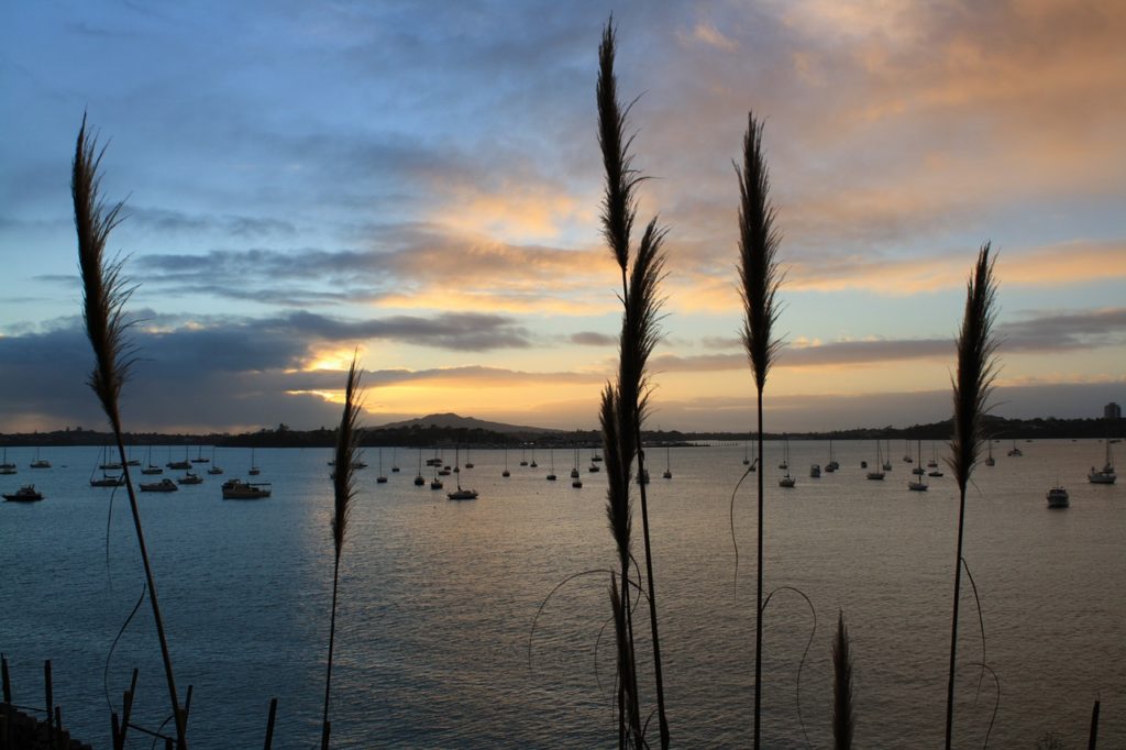 Waitemata Harbour