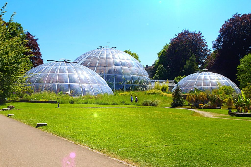 Zurich Botanical Garden