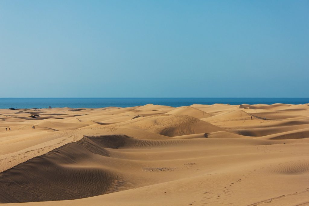 Maspalomas Dunes