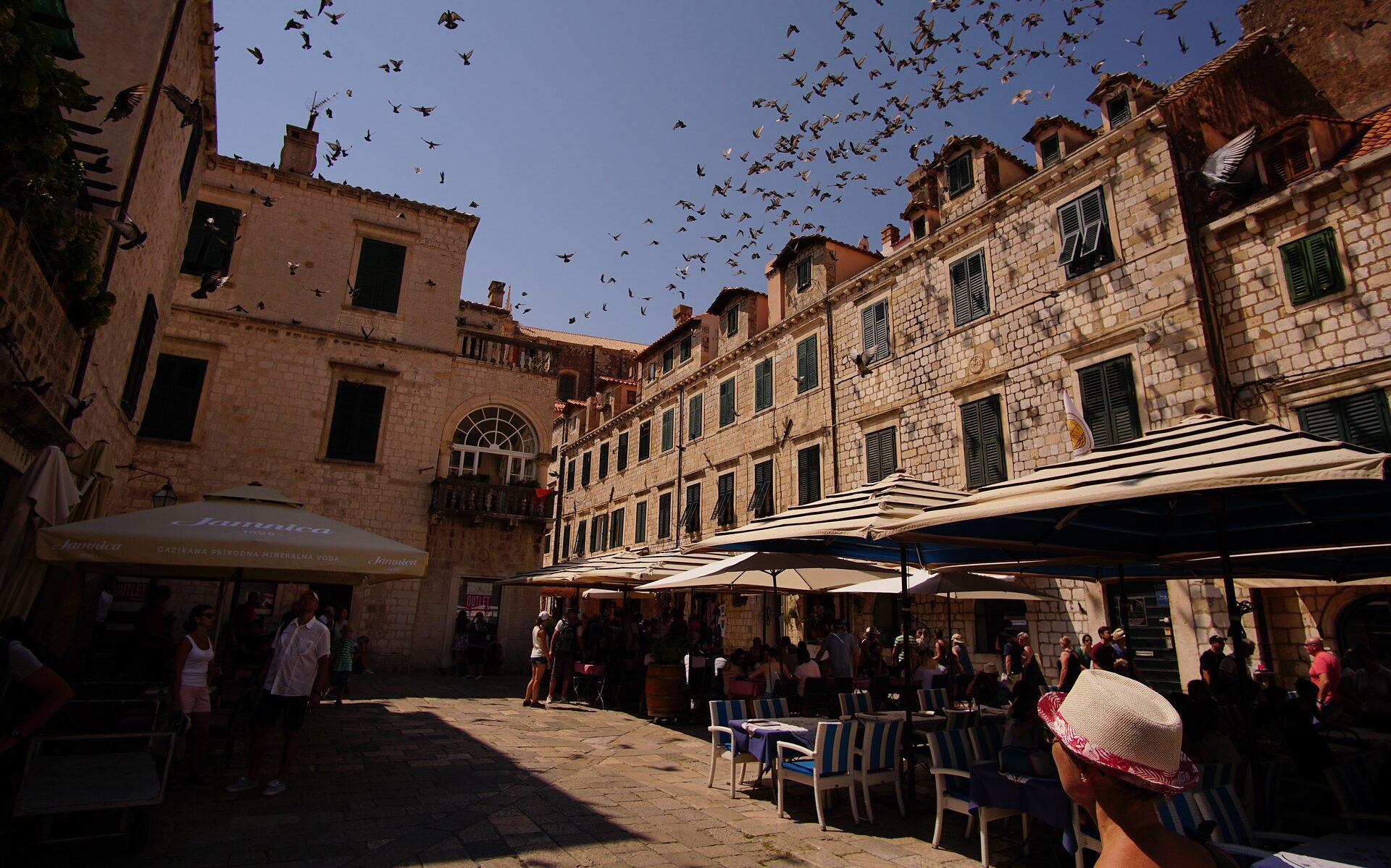 Dubrovnik Wine Tasting Tour