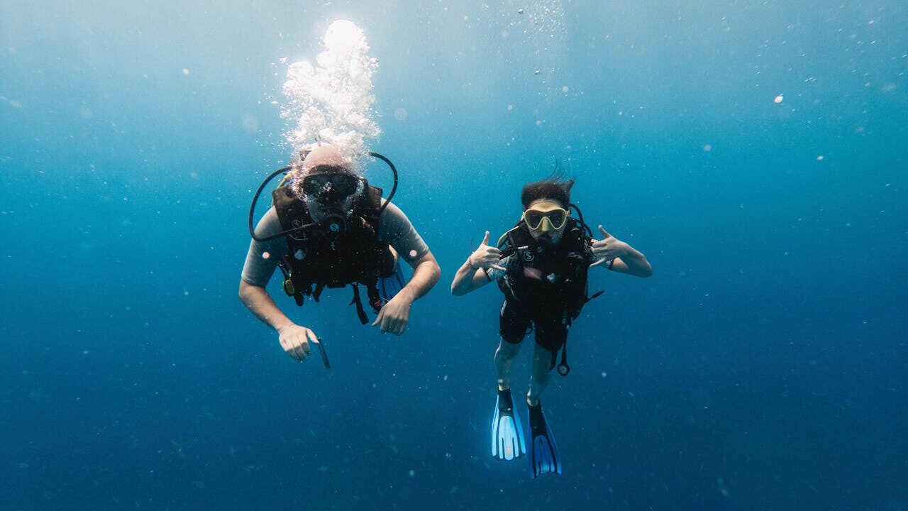 Underwater world of Zanzibar