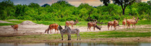 Simbabwe