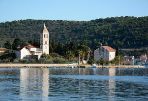 Vis