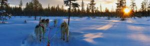 Finlande